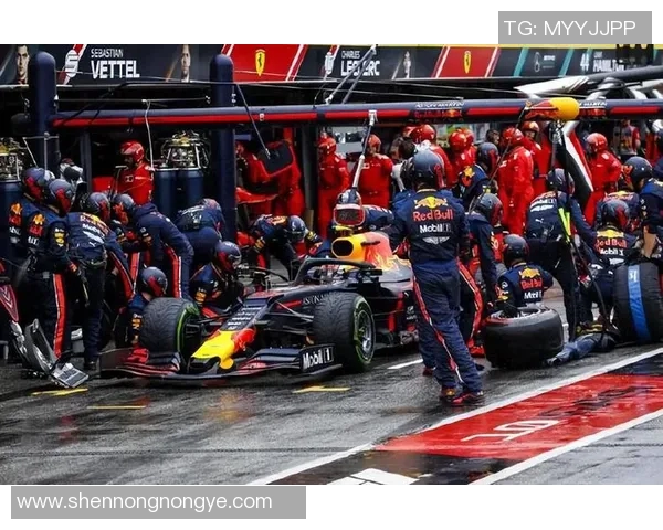 F1赛季精彩碰撞回顾及安全讨论