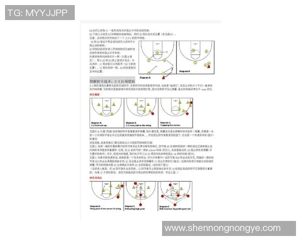 CBA赛季关键比赛战术调整及效果评估