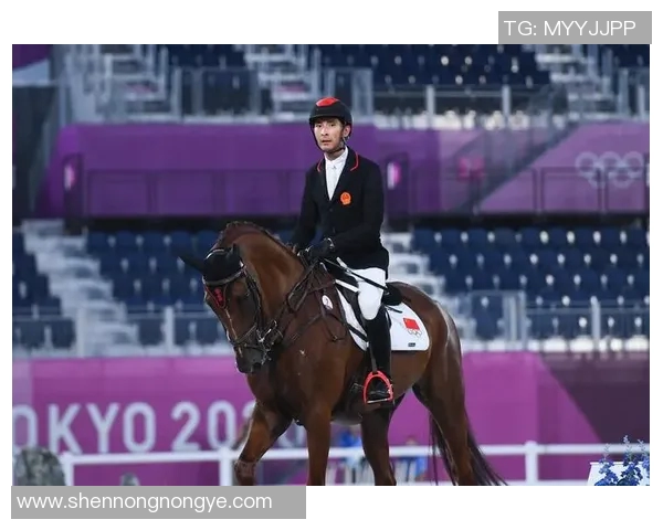 中国马术队首次获得奥运团体赛资格，历史性突破