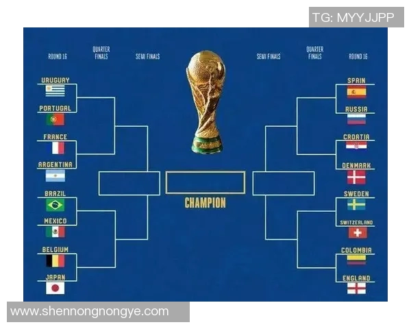 欧洲杯淘汰赛关键战及战术解析