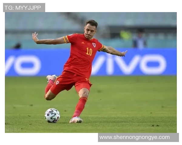 数据模型预测欧洲杯冠军胜率揭秘深度分析与趋势洞察